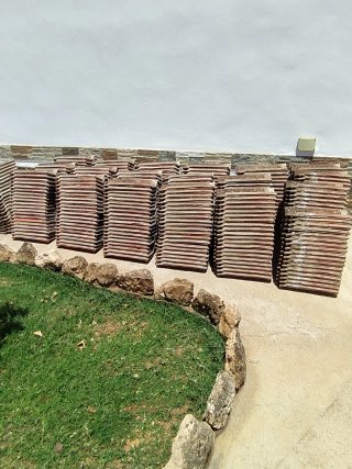 Tejas Mixtas
