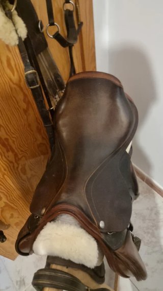 Silla salto zaldi