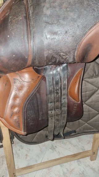 Silla salto zaldi
