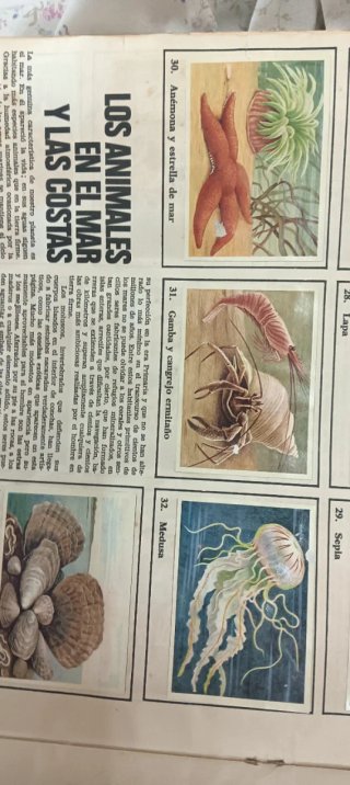 Colección 400 Cromos Félix Rodríguez de la Fuente
