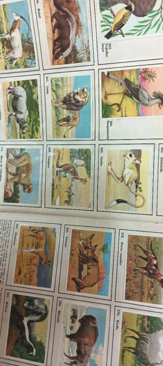 Colección 400 Cromos Félix Rodríguez de la Fuente