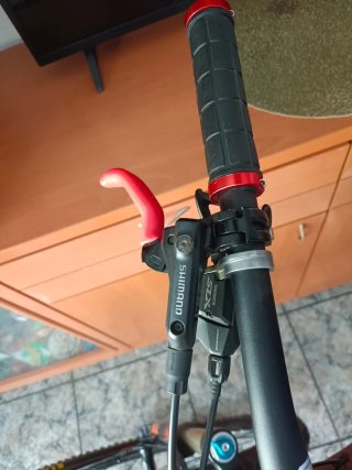 Bicicleta Montaña Rodado 29'