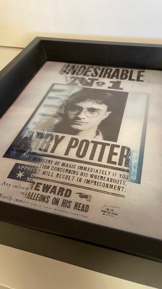 Cartel Harry Potter Undesirable No. 1