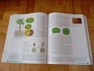 Biología, Geología y CC. Ambientales 1º Bachill...
