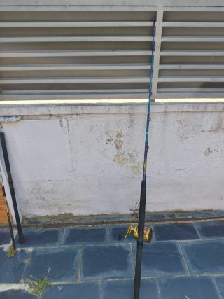 Caña de pescar y carrete para curry