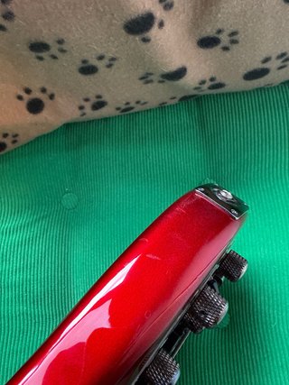 Bajo 5 cuerdas Yamaha TRBX305 CAR