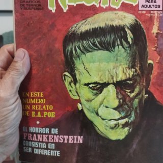 Lote de 10 revistas Dossier Negro para Puyol