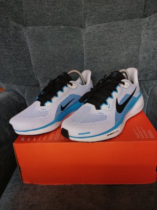 Nike Air Zoom Pegasus 41 Talla 43