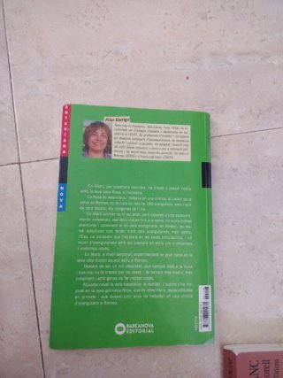 Un estiu a Borneo