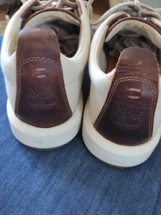 Zapatillas Timberland Hombre Blancas