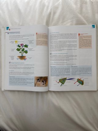 Biologia eta geologia, Batxilergoa 1