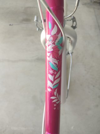 Bicicleta infantil Btwin Mistigirl 500