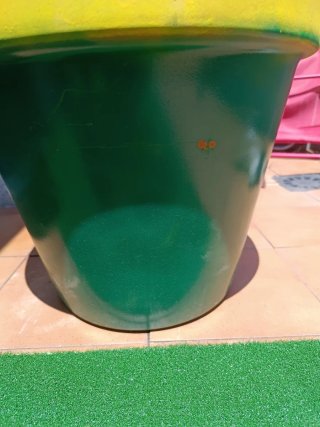 Maceta grande pintada de verde y amarillo