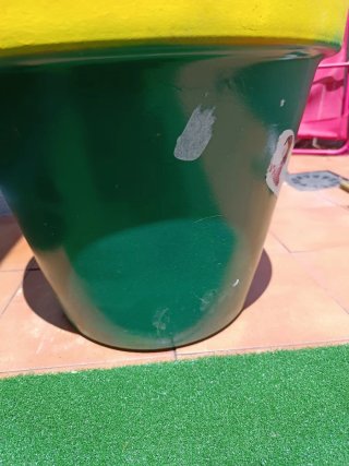 Maceta grande pintada de verde y amarillo