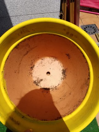 Maceta grande pintada de verde y amarillo