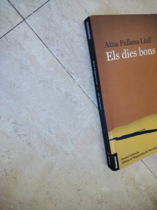 Els dies bons