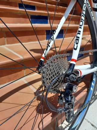 Cannondale Synapse Carbon 105