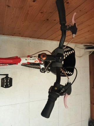 Bicicleta infantil roja