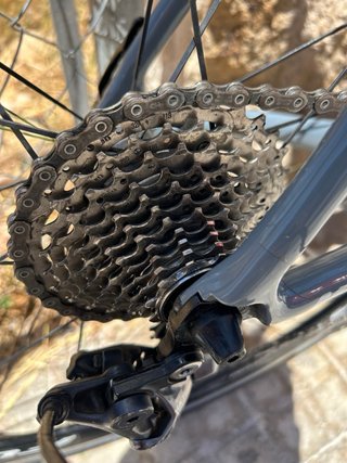 Massi Team Carbon 2019 - Talla M - Ultegra
