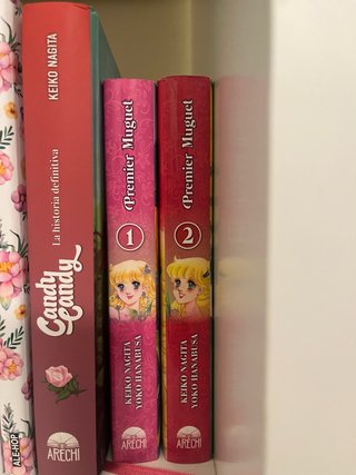Novela Candy Candy y manga completo Premier Muget