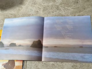 Vinilo Neil Diamond Jonathan Livingston Seagull