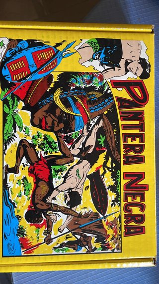 Pantera Negra completa con caja 53 comics