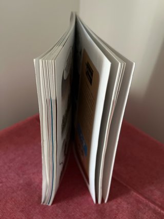 CÓMIC EN EUSKERA BIZIPOZA AUZOLAN