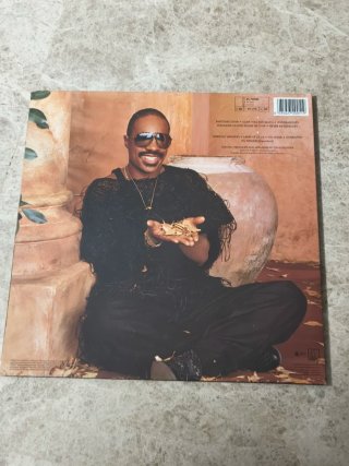 Vinilo Stevie Wonder In Square Circle