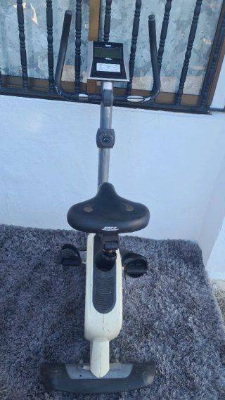 Bicicleta Estática BH Pegasus Plus