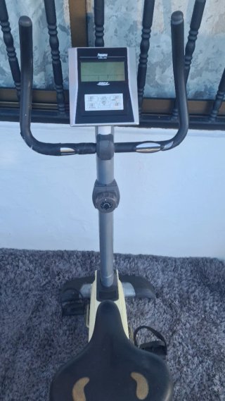 Bicicleta Estática BH Pegasus Plus