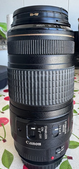 Canon EF 70-300mm USM Lente Zoom