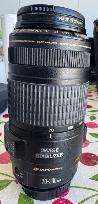 Canon EF 70-300mm USM Lente Zoom