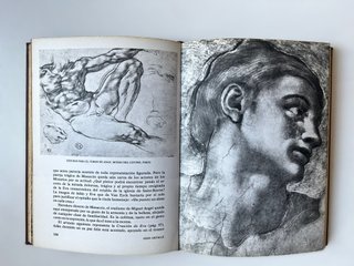 Libro arte Miguel Ángel – estudio y obra gráfica
