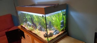 Acuario Eheim Vivaline 180 Completo