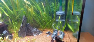 Acuario Eheim Vivaline 180 Completo
