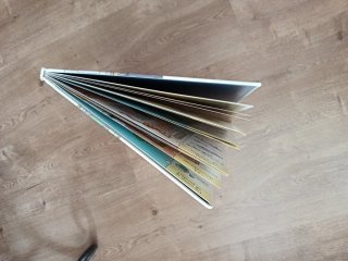 Diccionario visual