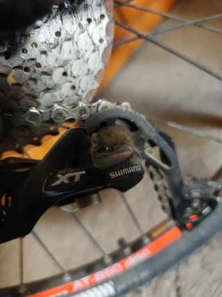 Bicicleta Trek 4900