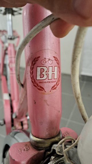 Bicicleta BH rosa con cesta