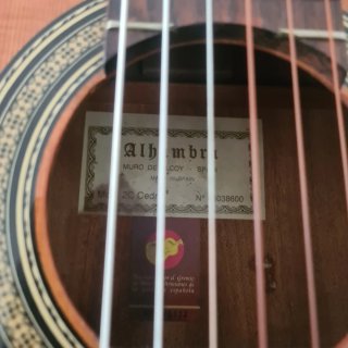 Guitarra Flamenca con Funda