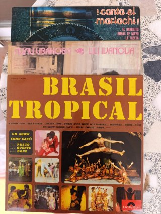 Lote de trece discos de vinilo antiguos
