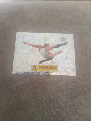 Cromo Panini Mundial 00