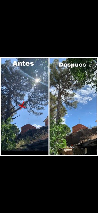 Servicios de jardinería y mantenimiento