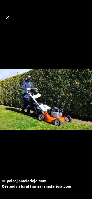 Servicios de jardinería y mantenimiento