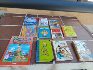 Lote 11 libros infantiles