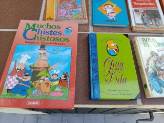 Lote 11 libros infantiles