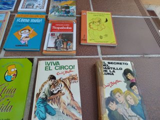 Lote 11 libros infantiles