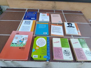 Lote 11 libros infantiles