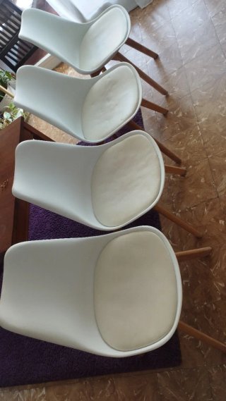 Sillas Nórdicas Madera y Plástico