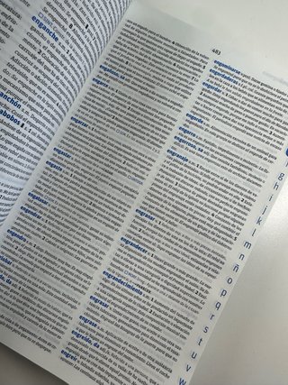 Diccionario intermedio primaria lengua española