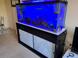 Acuario/Terrario urna de 360Lts